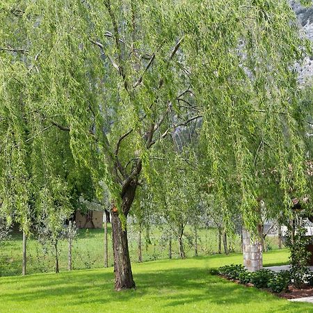 B&B Ai Colli Dro Kültér fotó